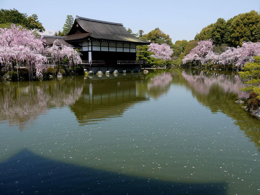 Heianjingu - Kyonoya